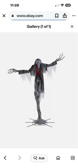 15 ft gally-crow dude