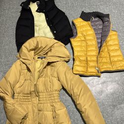 Jacket And Vest 
