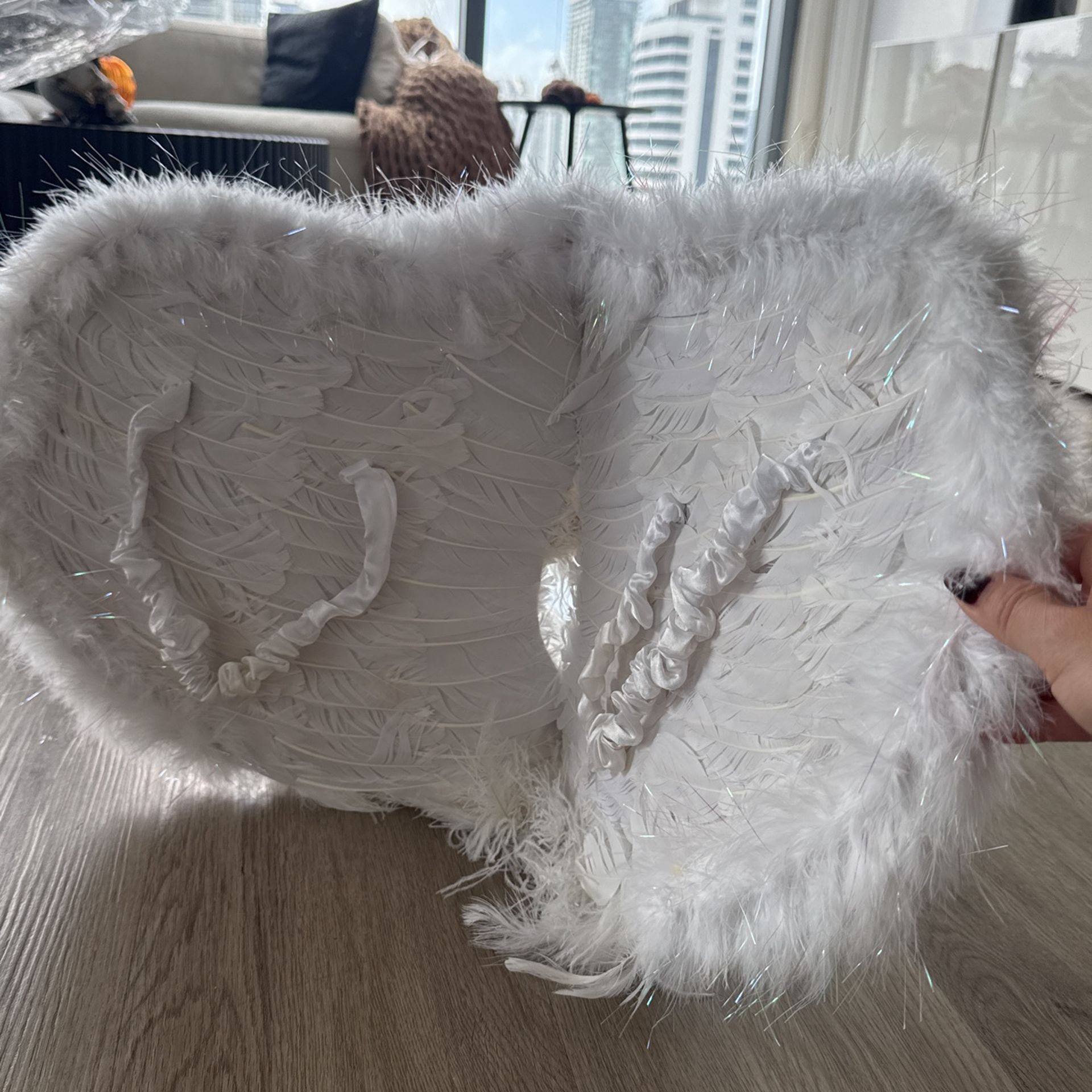 Wings Halloween Costume