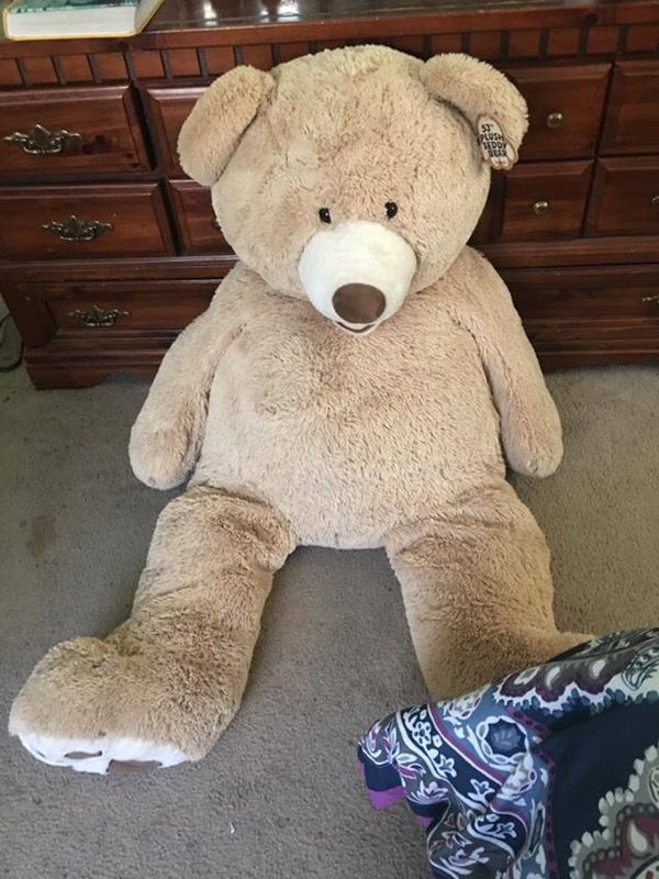 53" giant teddy bear!