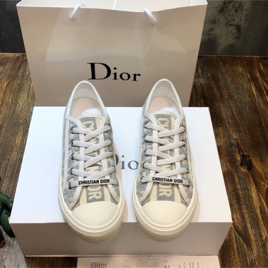 Walk N Dior Shoes