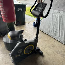 Golds Gym Exercise Bike 290c