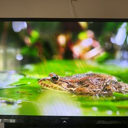 Sharp Aquos 60” Led TV