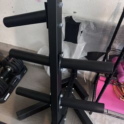 Weight Plate Rack