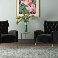 Modern Black Velvet Furniture Set – MUST SEE