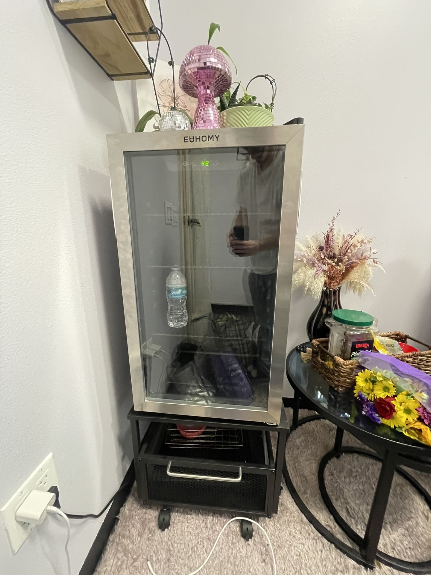 Mini Fridge