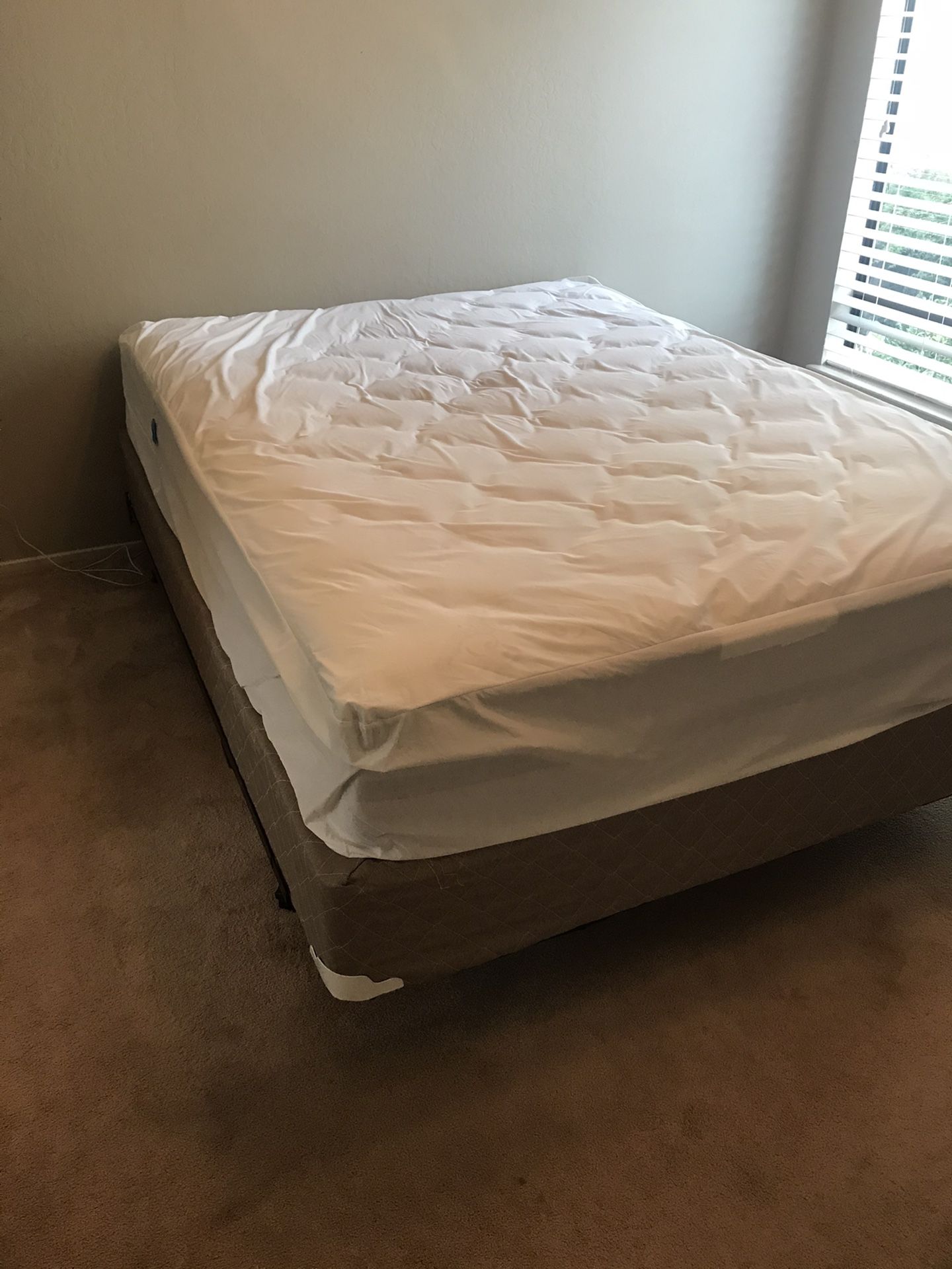 Queen bed with BOX Spring and Frame