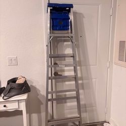6ft Ladder
