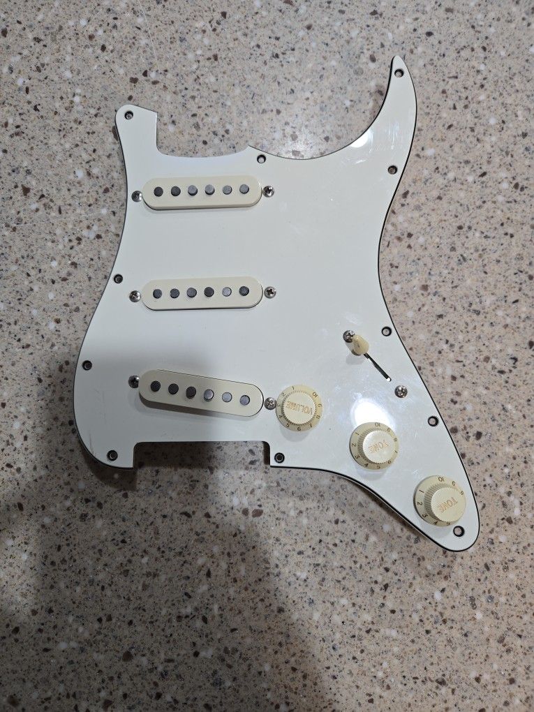 Squire standard series Stratocaster loaded pickgaurd