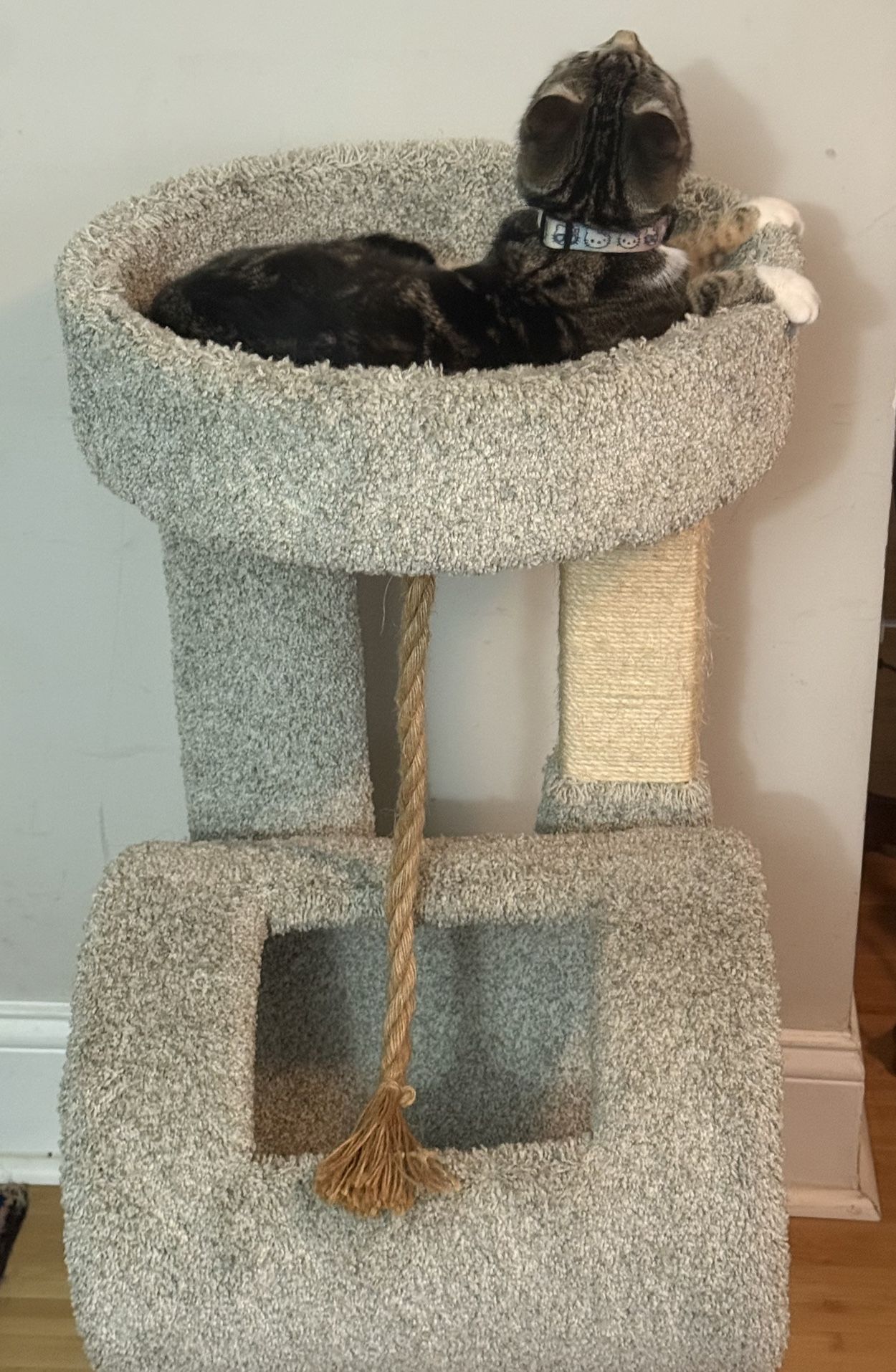 Cat Tree