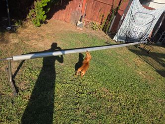 Pool cover rail