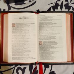 Schuyler Treveris KJV Full Yapp Black Goatskin