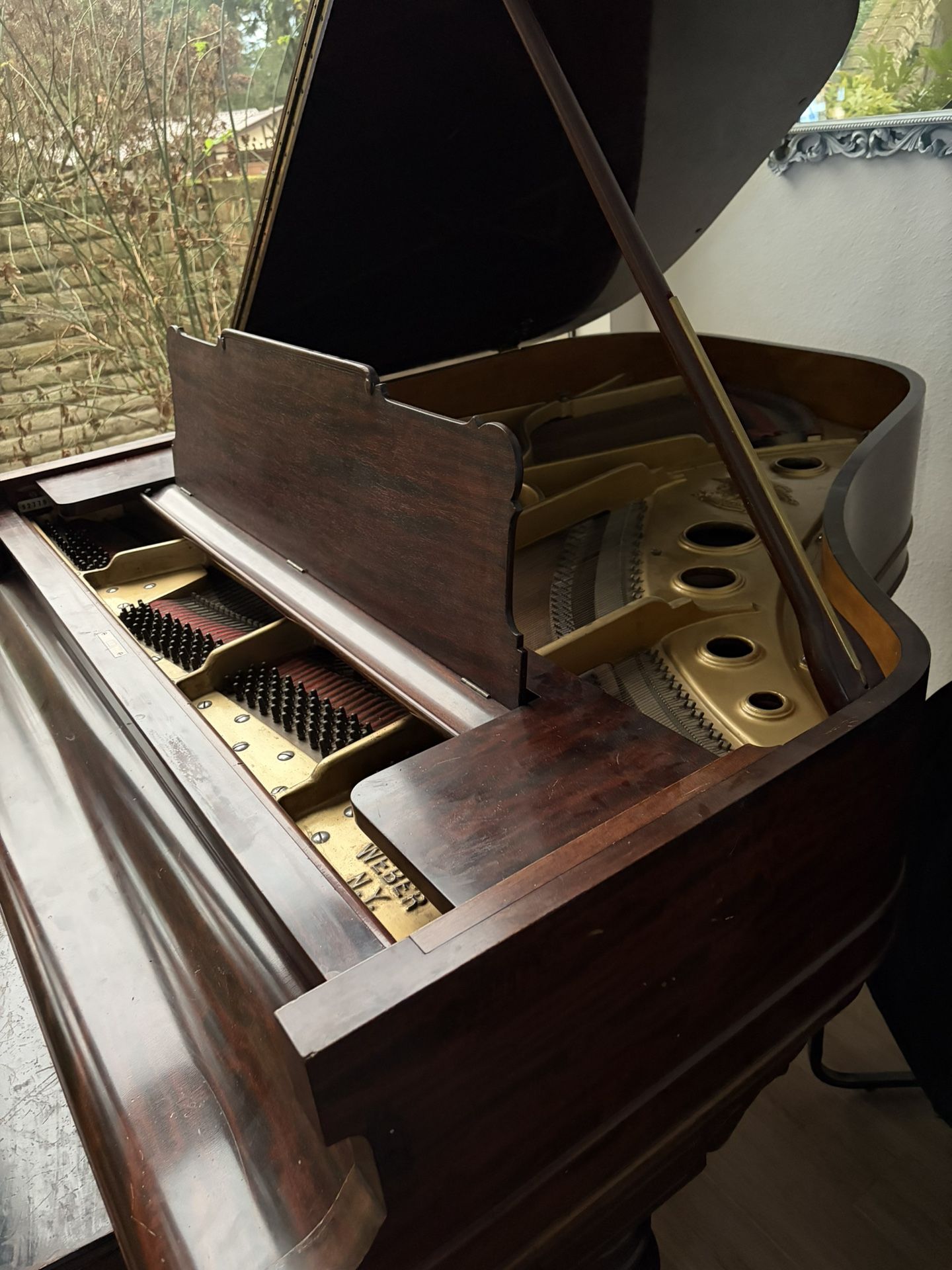 Free Grand Piano Weber