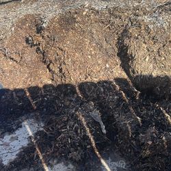 Take As Much Mulch As Youd Like For FREE