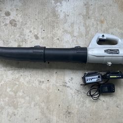 Papaco Outdoor Leaf Blower  20 Volt 2 Batteries & Charger 