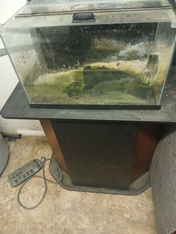10 aquarium with stand