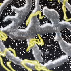 LostHills, BOS, HalfEvil Shirts