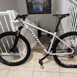 Specialized rock hopper size L