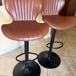 Set of 2 Industrial Modern Dining Chairs
