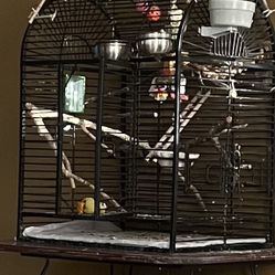 Bird Cage