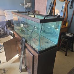 85 Gallon Custom Fish Tank