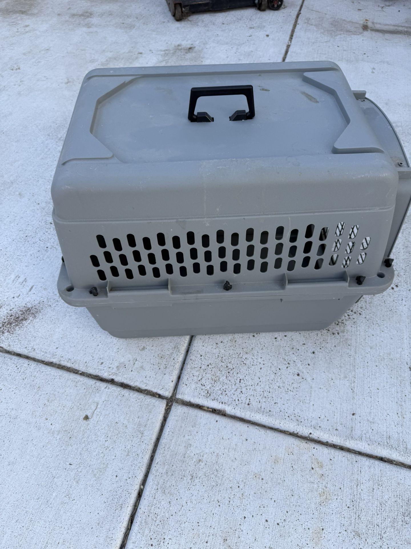 Dog House