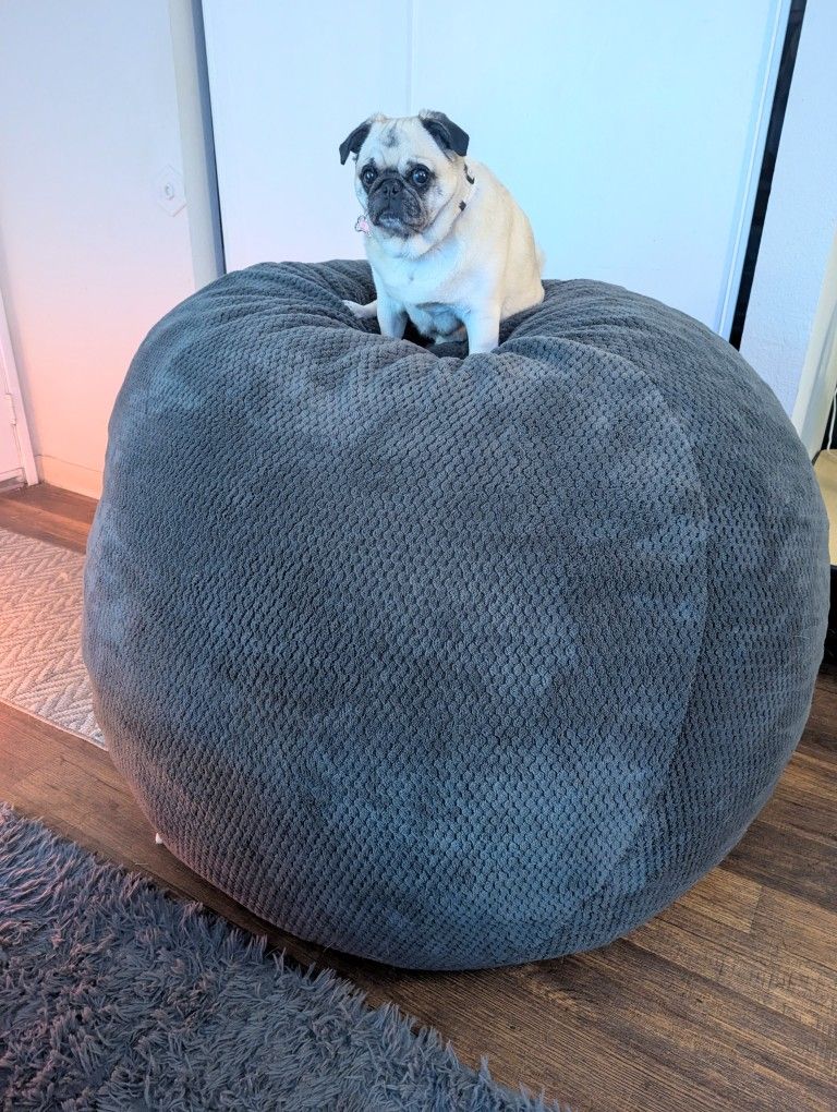 Lovesac Jumbo Size Like New (Dog Not Included, Just For Size