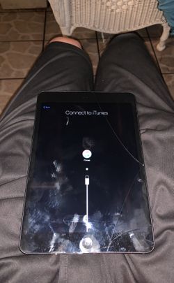 I pad mini sell as its 50$