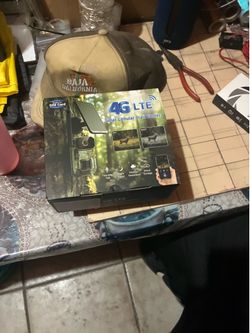 Camouflage camera