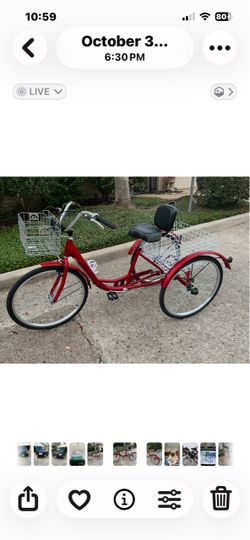 Adult 3 wheel bike
