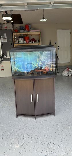 29 gallon aquarium with stand and deco