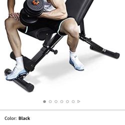 Brand New Flybird Fully Adjustable Bench 