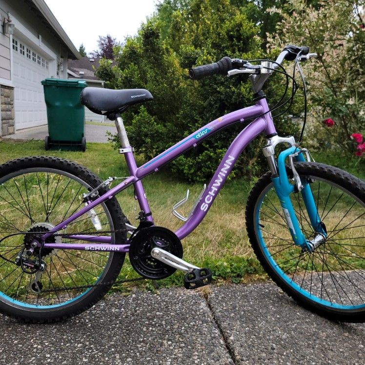 SCHWINN ATLAS BIKE