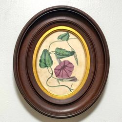 Vintage Wood Oval Frame With Botanical Morning Glory Illustration Wall Decor