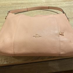 Coast Purse