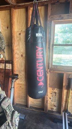 Century punching bag