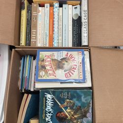 2 Boxes Of Various Books