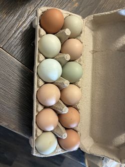 Eggs