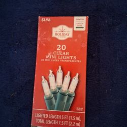 Holiday Time 20 Clear Mini Lights
