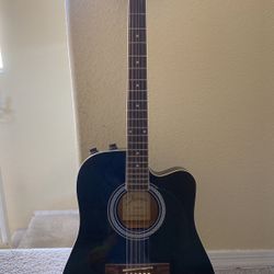Johnson Acoustic Guitar