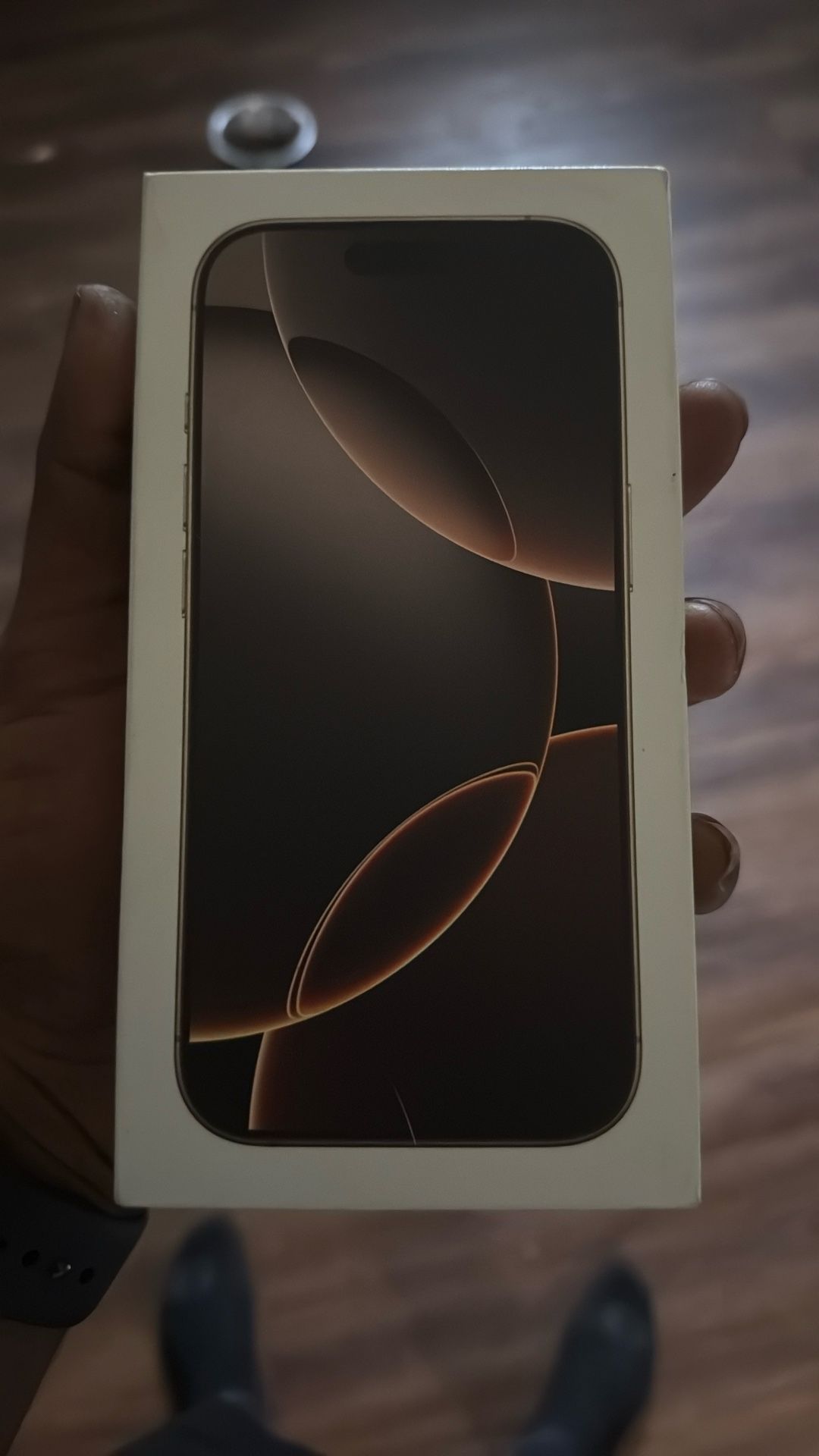 iPhone 16 Pro