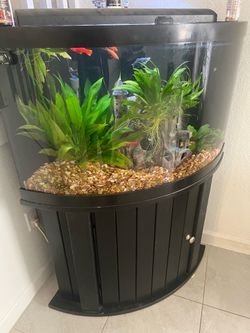 55 gallon bow aquarium