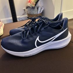 Bluea Nike Air Zoom Pegasus 39 TB Running Shoes