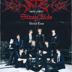 Selling Stray kids Jun 19 New York 3 Tickets 