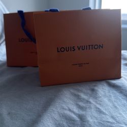 Louis Vuitton Bags 