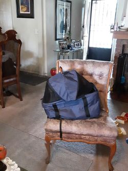 Pet carrier/pet stroller