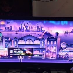 Panasonic 55 Inch Plasma TV 