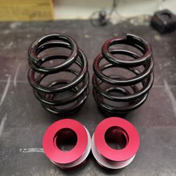 E46 Rear Springs