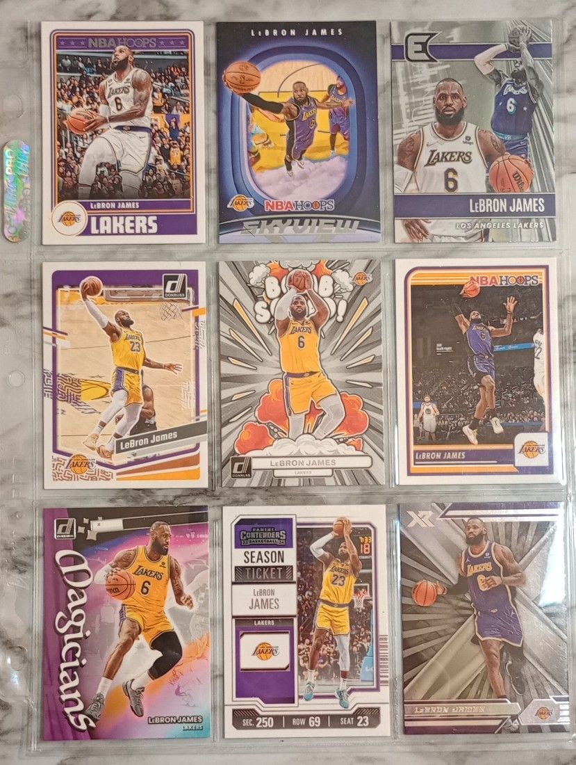 LeBron James NBA Player Page