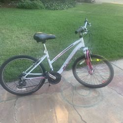 Schwinn 24 inch bike